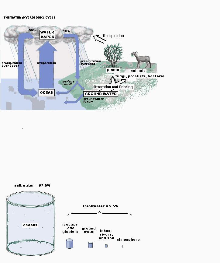 BIO 7 Lecture 3334 Preview
